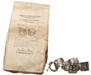 Fot-ringer har lenge vært den beste måten å gi høns faste id-merker. Foto: J. L. Gjerstad